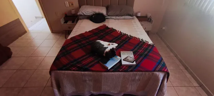 Cama casal com box