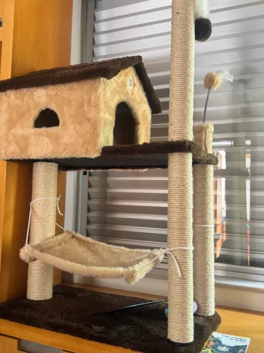 Casa de gato