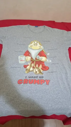 Camisa Original Disney Zangado