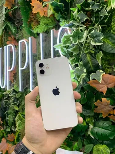 iPhone 12