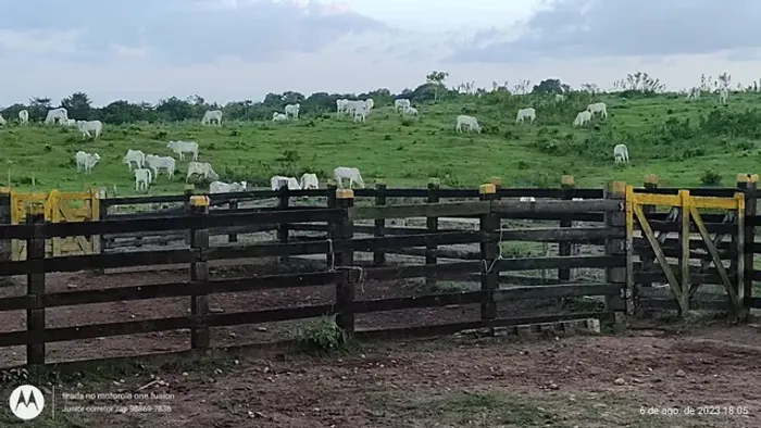 145 alqueire no Pará fazenda pronta R$10 mil por hectare
