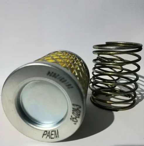 Filtros para bombas de vácuo paem
