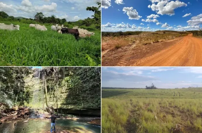 Fazenda a Venda Preço Muito Barato Venda Urgente Promoção Chacara Tocantins