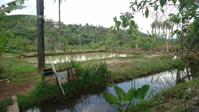 Terreno 13.000 m², agua nos fundos, poço de peixe, fogão a lenha, terra ideal para plantio