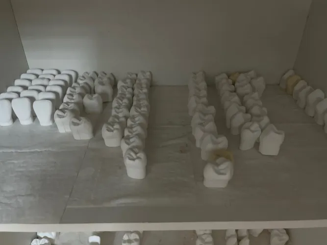 Dentes de gesso para estudo kit com 14 peças