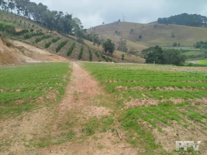 Sitio auto sustentável