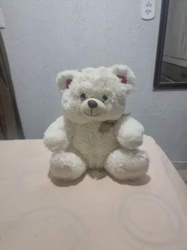 Ursinho de pelúcia novo (Troco por carregador Samsung Tipo C preto)