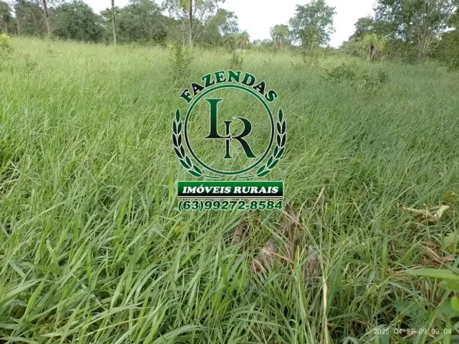 Fazenda 30 alqueires Próximo Palmas TO