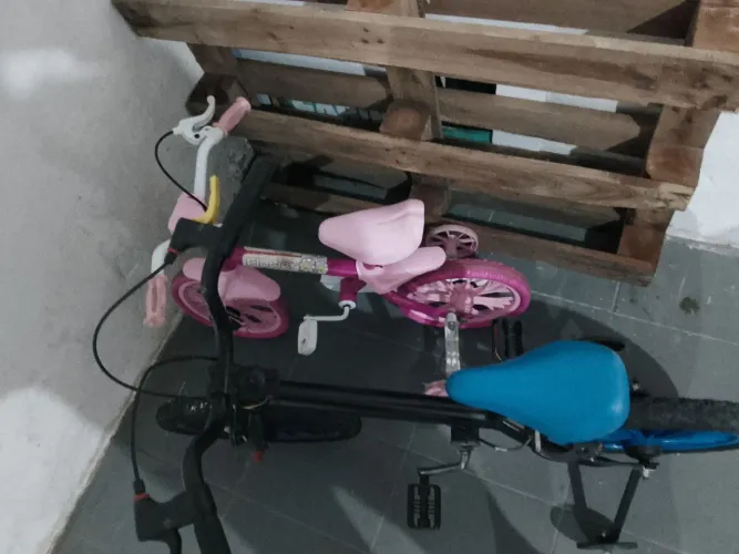 Bicicleta