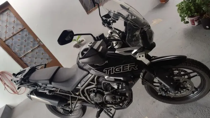 Tiger 2018