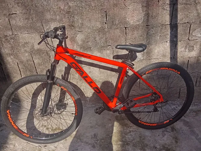 Bicicleta GALLO Aro 29