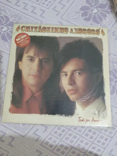 Vinil