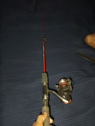 Vara de pesca e molinete