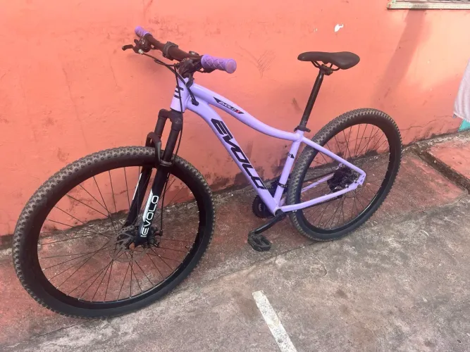BICICLETA ARO 29