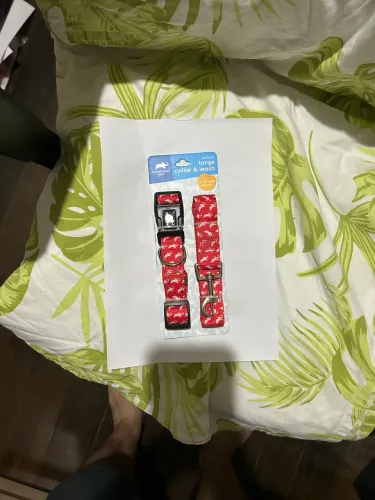 Kit coleira e guia para cachorro - tam G