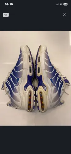 Nike TN university blue + Nike TN purple dragon + Nike air force one
