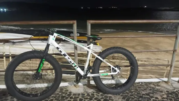BICICLETA FAT