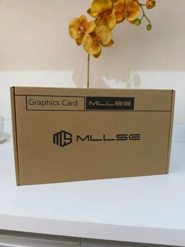 RX 6600m