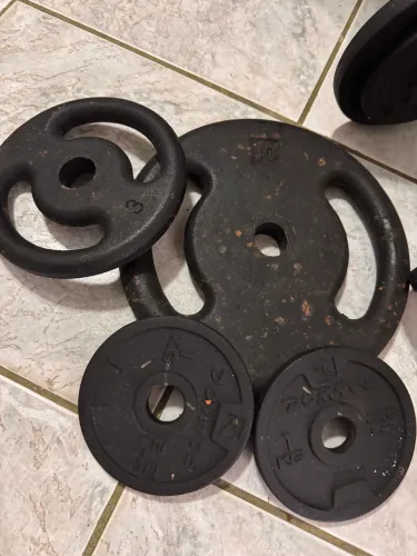 Anilha 10kg + 3kg