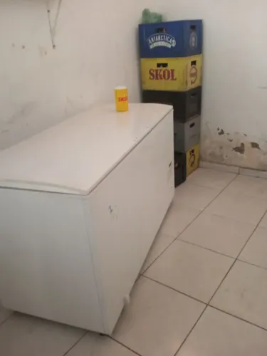 Freezer horizontal