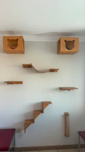 Playground para Gatos