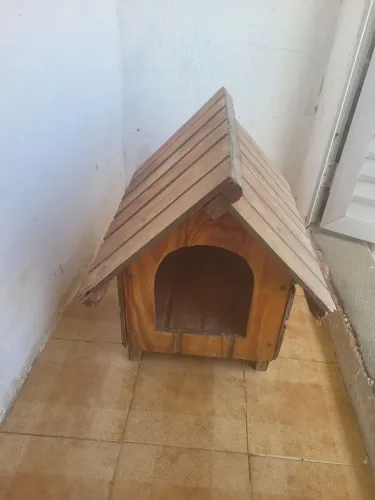 casa de cachorro 