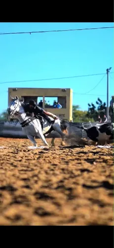 Cavalo de esquerda 