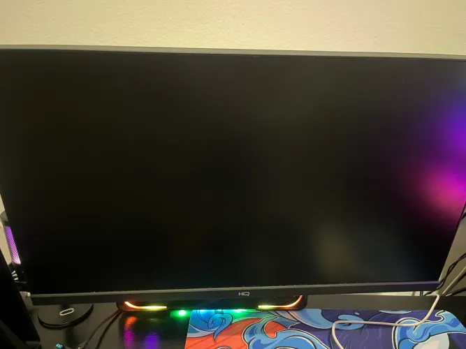 Monitor gamer