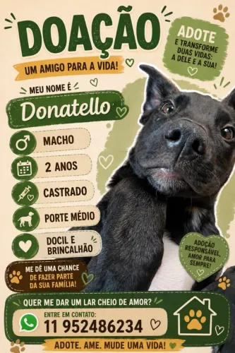 Doação de Cachorro