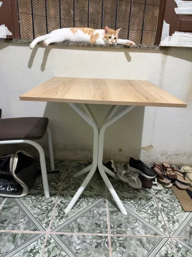 Vendo Mesa 