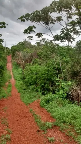 Vendo Terreno no soturno 3 por trás do condomínio fazenda real medindo 50m X 100m