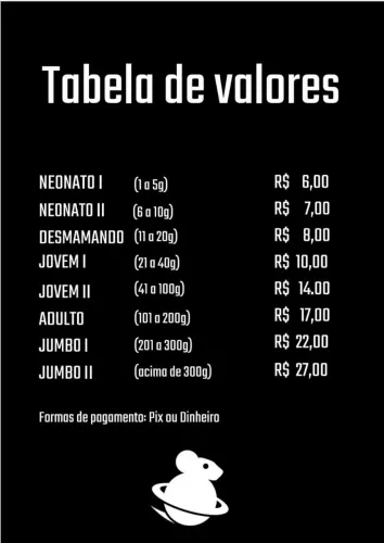 Vendo Ratos e camundongos 