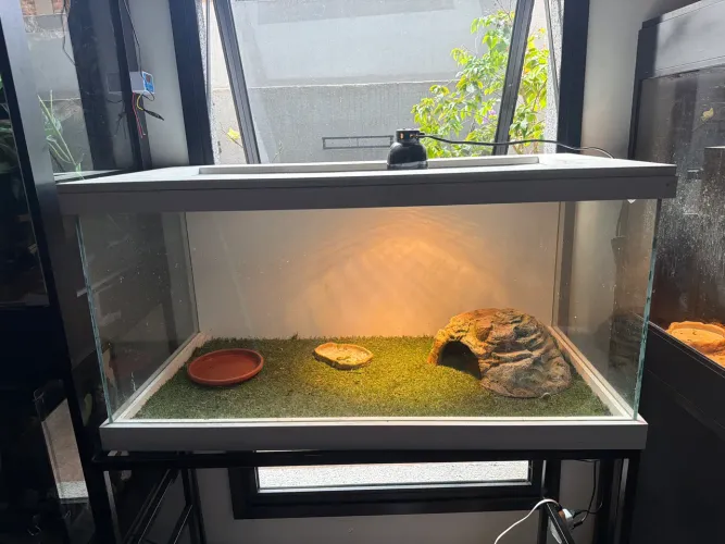 Terrário