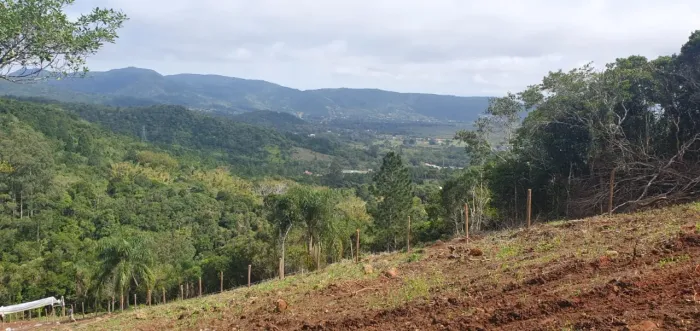 Terreno a venda no bairro Ratones com 5.050 m2