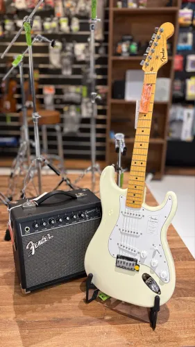 Guitarra Fender Standard Series
