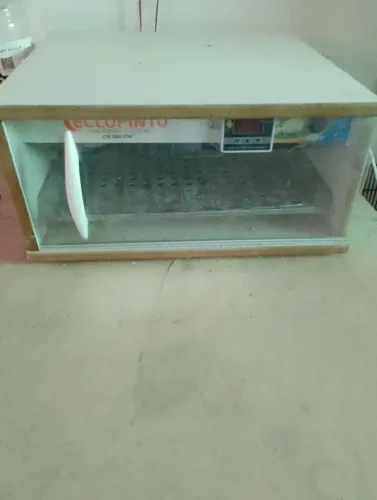 Chocadeira de ovos em bh 40 ovos no
