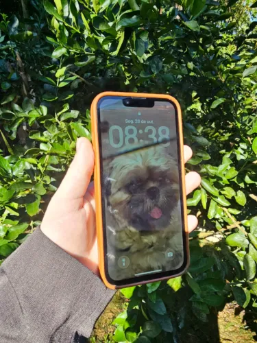 Iphone 14 americano