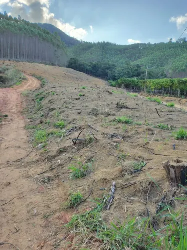 Terreno 2 hectares 