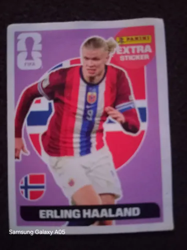 Legend Halannd panini