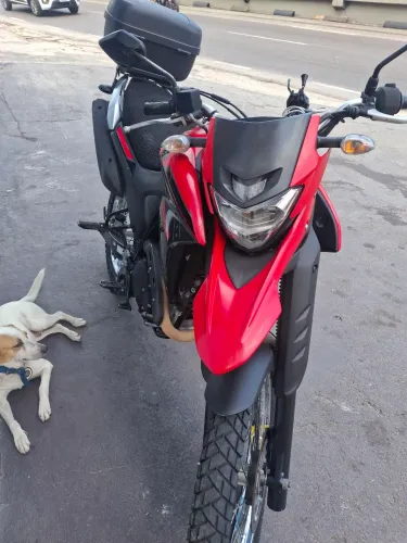 Vendo Lander top