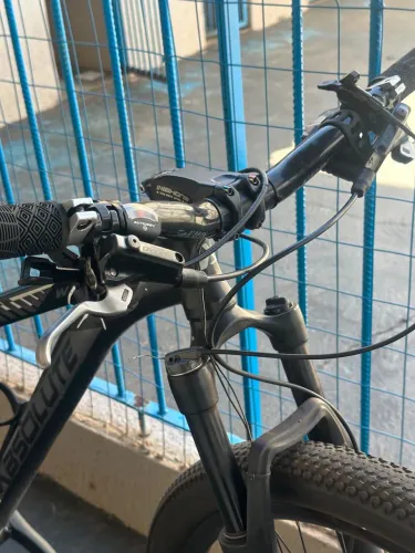 absolute wild aro 29