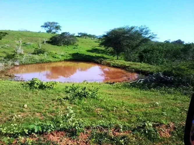 fazenda com 95 hectares nas margens da barragem de são Paulo do Potengi