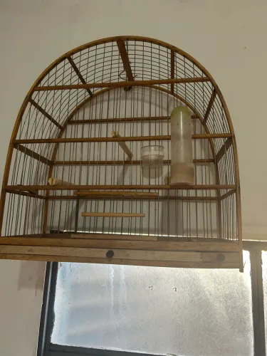 Gaiola para canário belga canário e outras aves