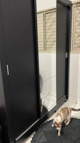 Guarda roupa 