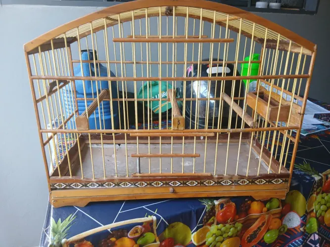 1 gaiola N3 'canario, coleira' 2 Gaiola trinca ferro .. outros