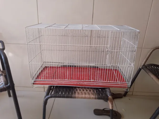 ? GAIOLA A VENDA! Ótima gaiola Espaçosa e Bonita ?R$130