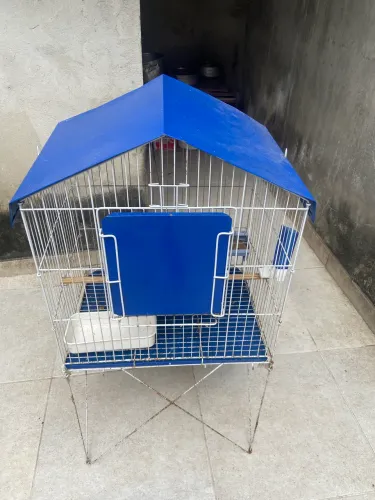 Viveiro para calopsita e outras aves
