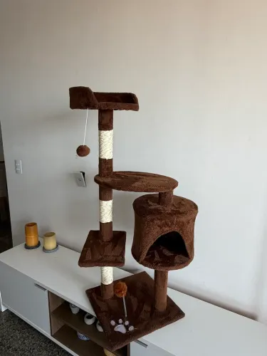 Torre arranhador gato