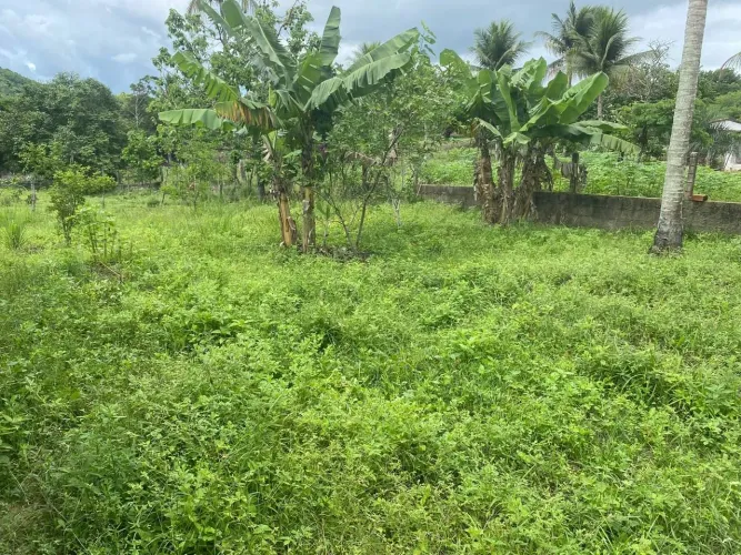 Um excelente sitio pertinho de Salgado e Itaporanga 