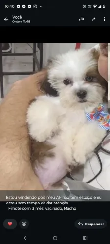 Vendo 3 mês 